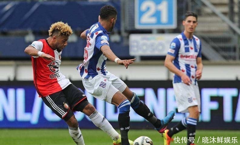 了多样性的 了多样性的