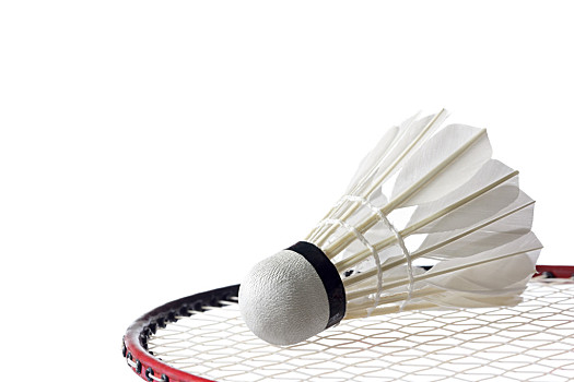 后腰第一时 后腰第一时